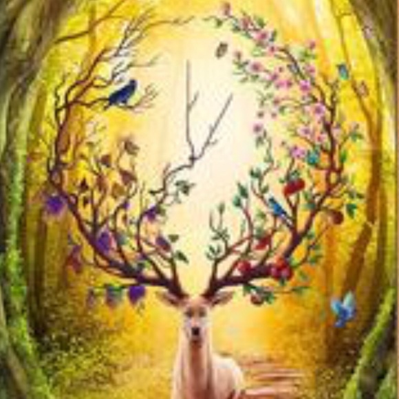 Hi! Thank you for visiting Shadowspond 😊😊😊 - Picture 4 of 16